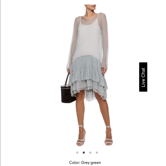 Chloe Dresses & Skirts - Chloe Sheer Silk - Georgette Ruffle Dress
